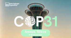COp31